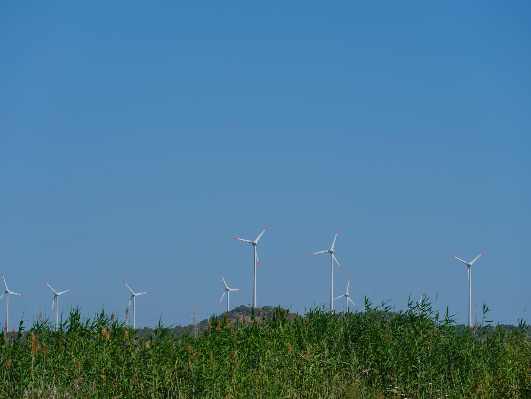 Panoramic view of wind turbines harnessing renewable energy in a lush field.