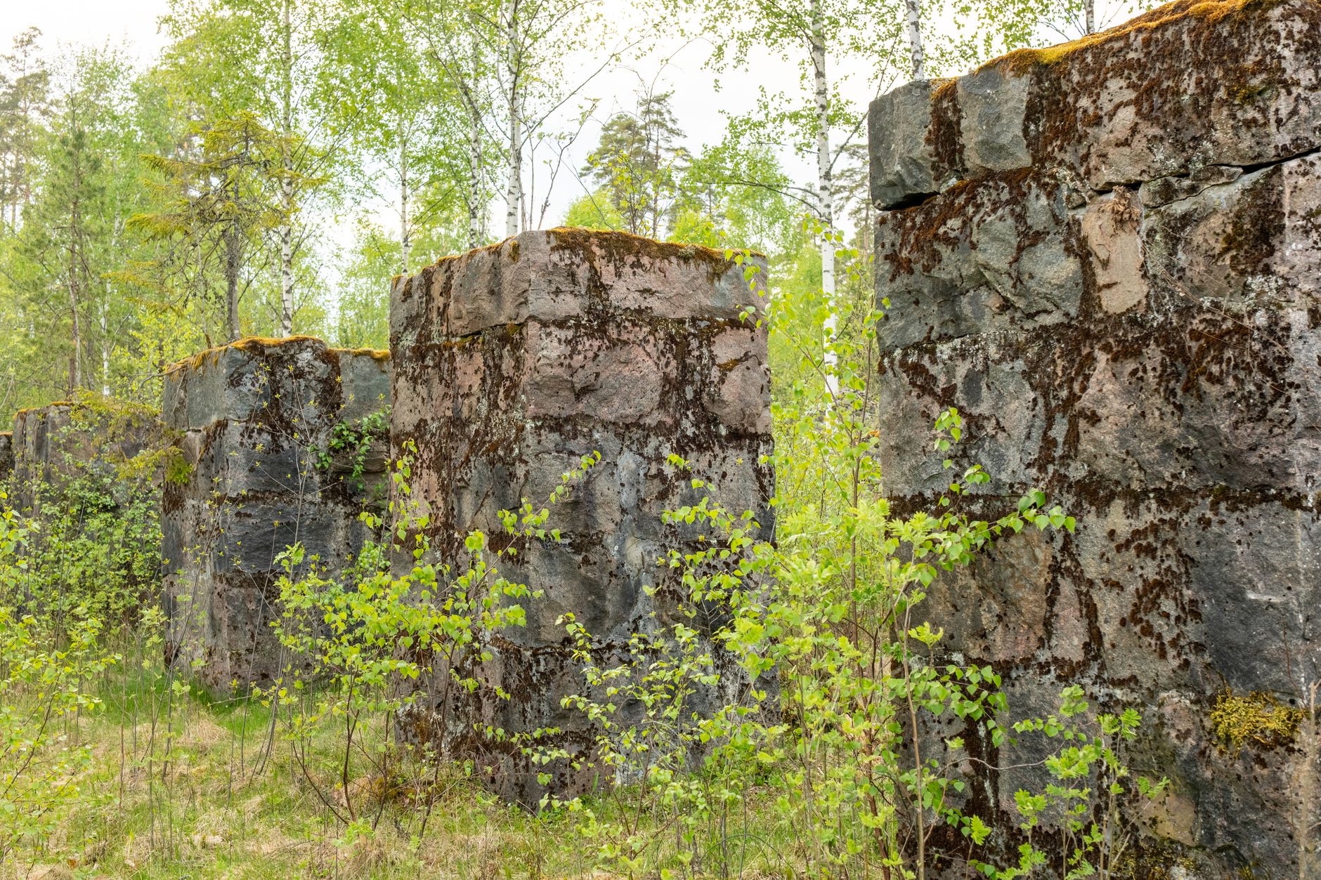Ancient stone pillars covered with moss in a green forest during spring.